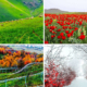 Iran the Land of Four Seasons