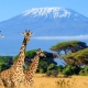 Kenya
