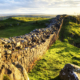 Hadrian's Wall